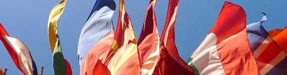 header_flags.jpg